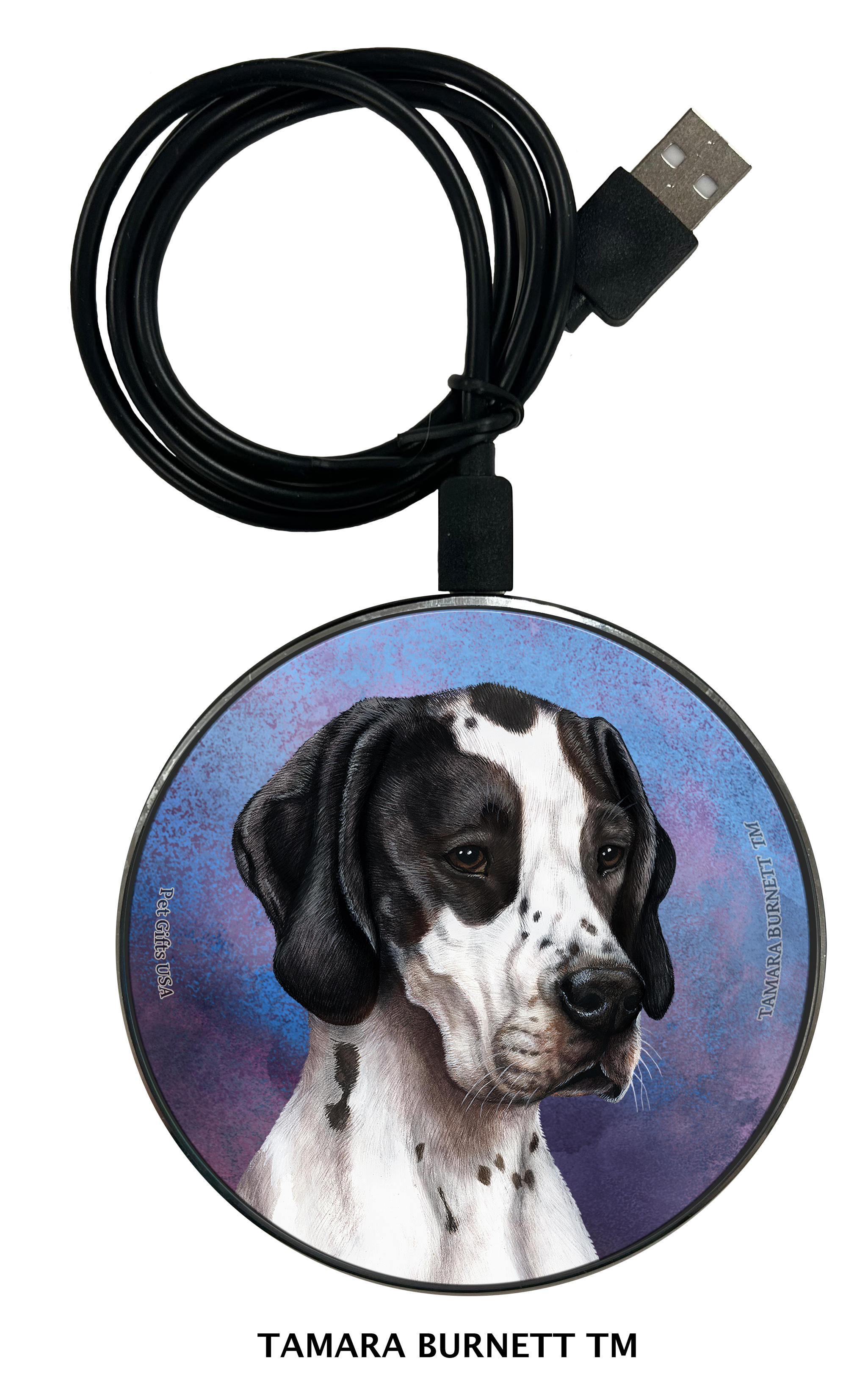 An image of product 29753 - English Pointer Black and White - Zoomies Phone Charger
